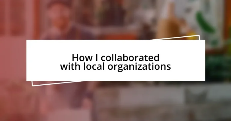 How I collaborated with local organizations