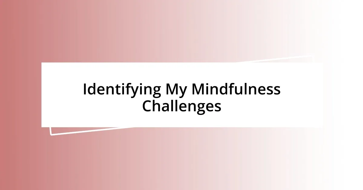 Identifying My Mindfulness Challenges