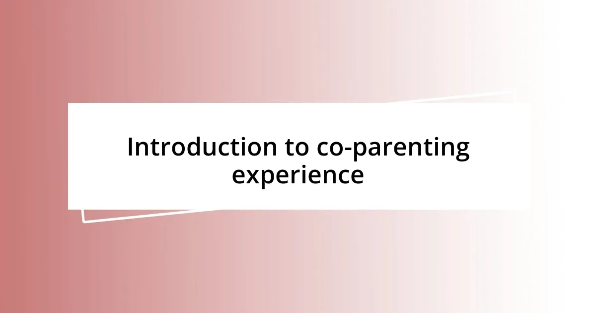 Introduction to co-parenting experience